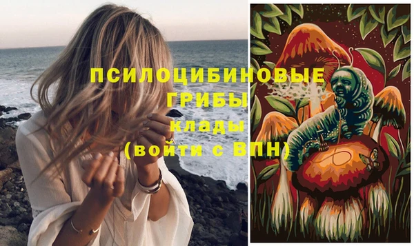 спиды Вязьма