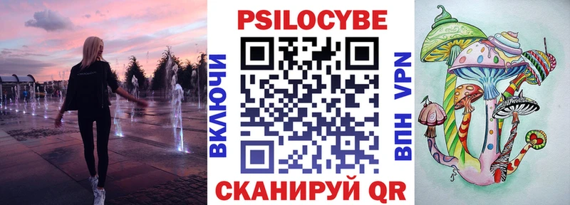 Галлюциногенные грибы Psilocybe  Боготол 
